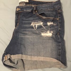 Torrid Jean Short - 22